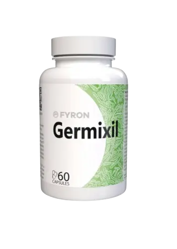 Germixil Foto